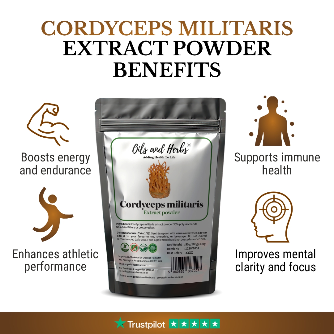 High Strength Cordyceps Militaris Fruiting Body Extract Powder 30% Polysaccharides