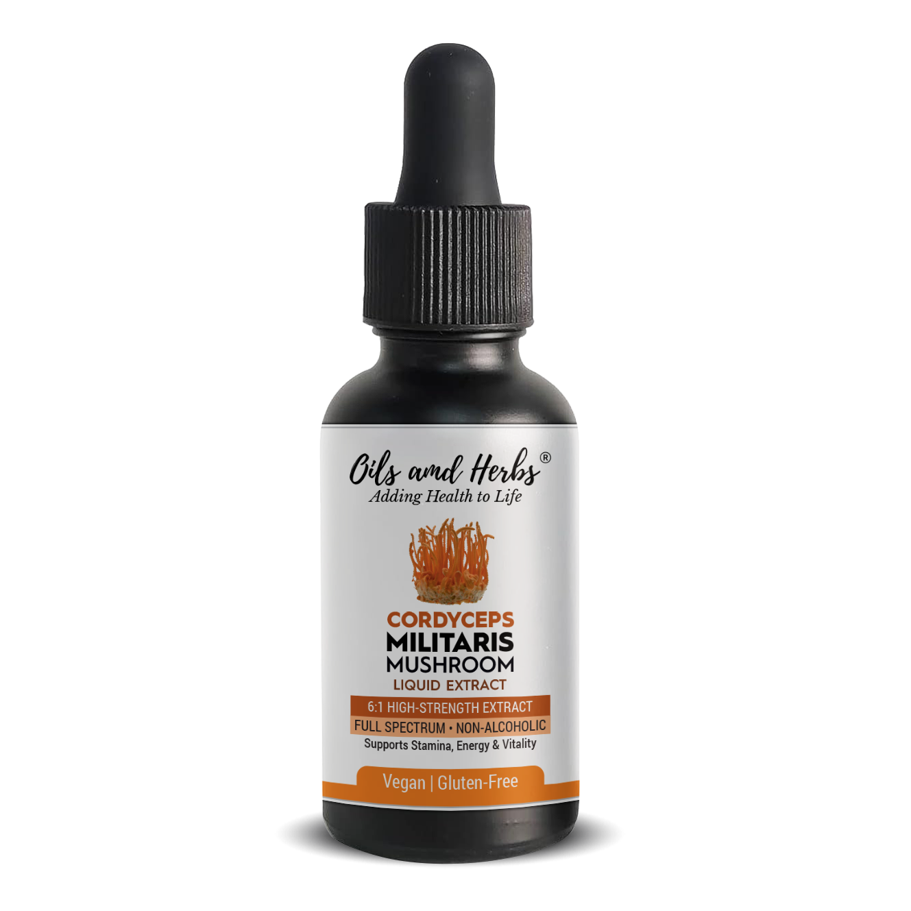 Cordyceps Militaris Mushroom Liquid Extract – 6:1 High-Strength, Alcohol-Free