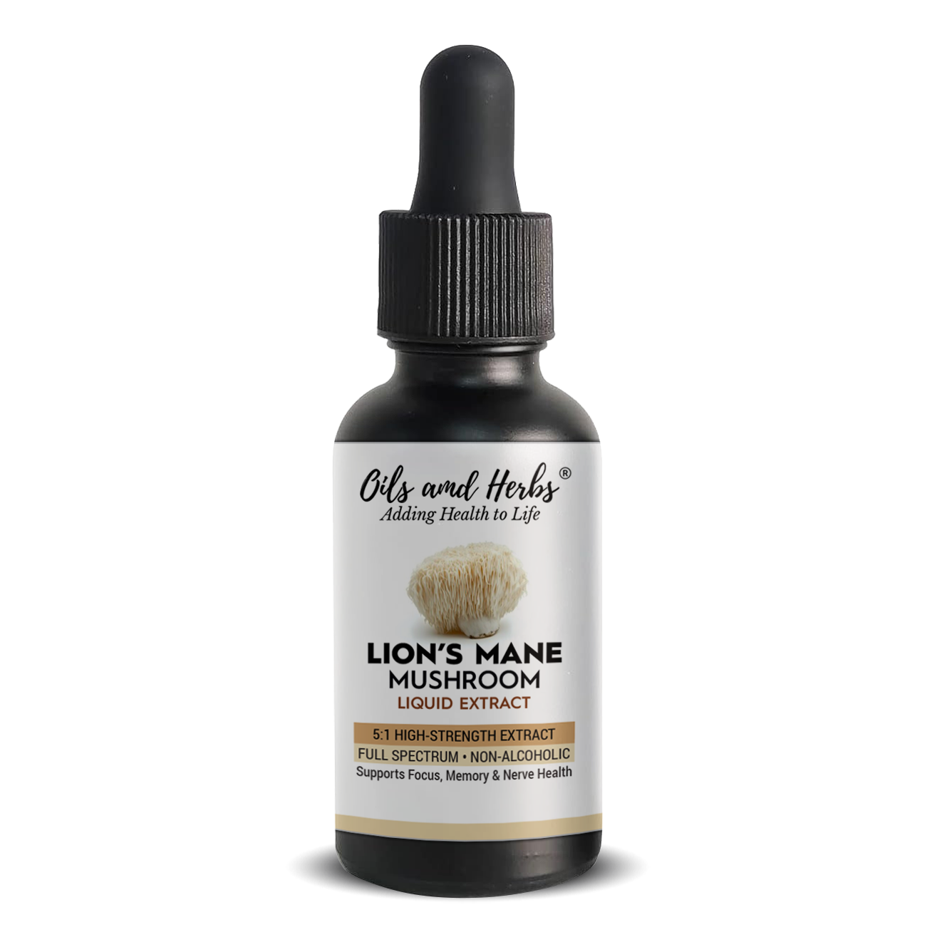 Lions Mane Mushroom Liquid Extract – 5:1 High-Strength