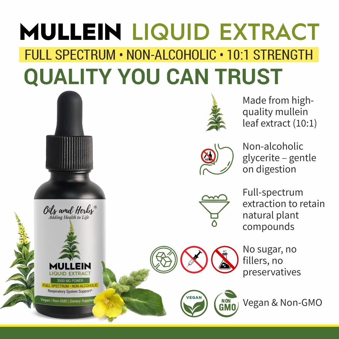 High Strength Mullein Leaf Tincture - 10:1