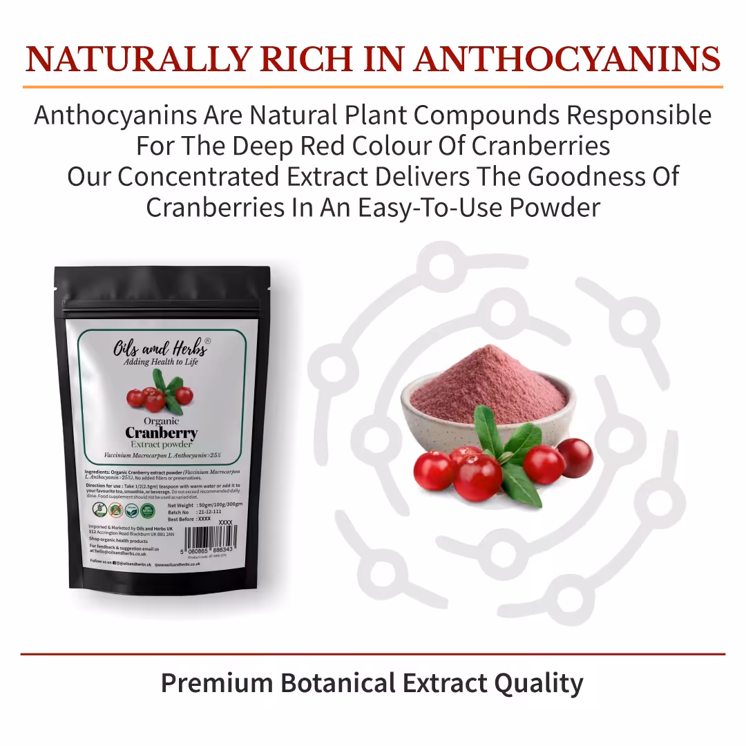 Organic Cranberry Extract Powder – High in Anthocyanins & Lab-Tested Quality