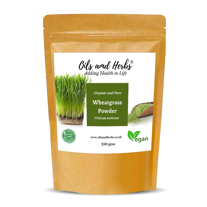 Pure and Natural Wheatgrass Powder for Juice