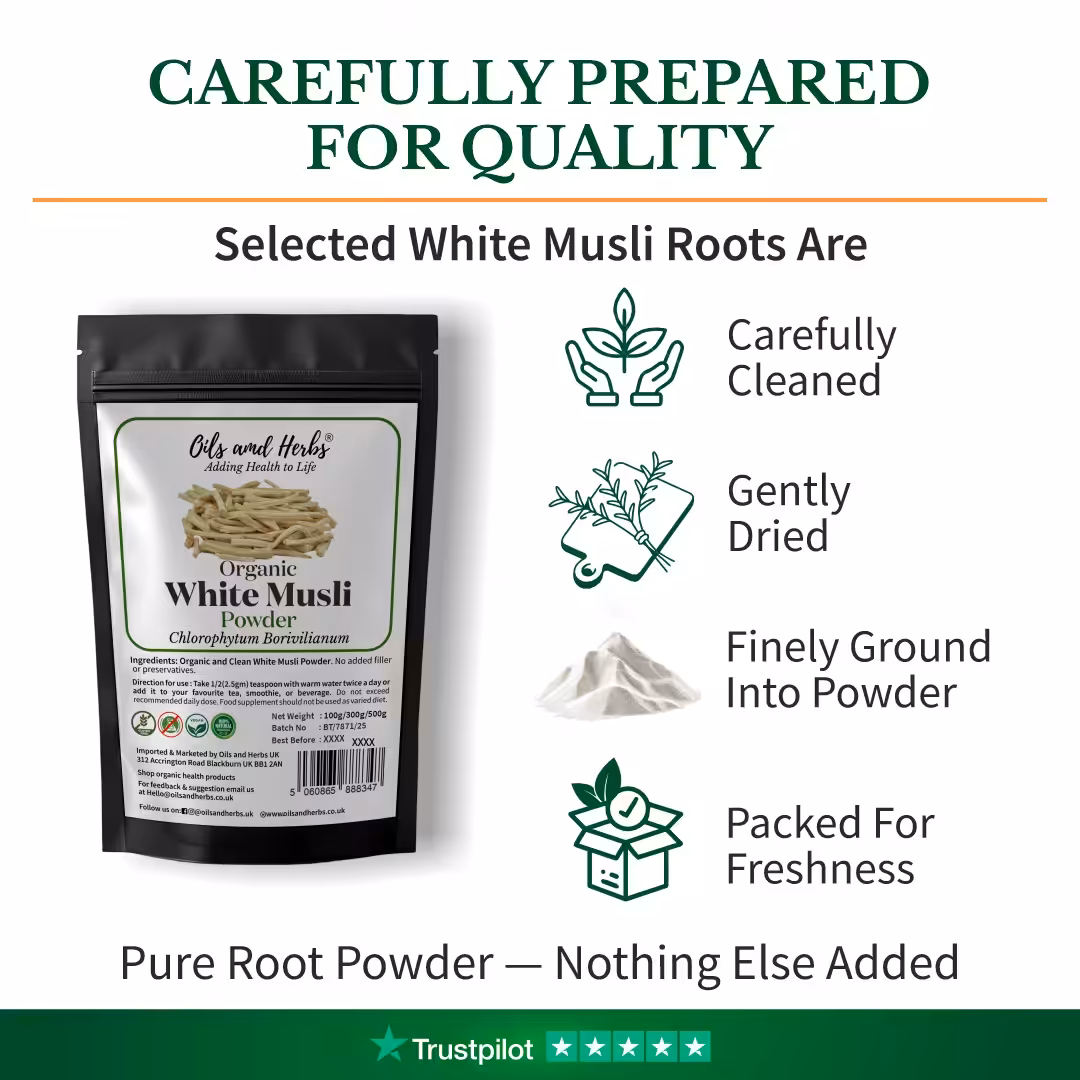 Natural Indian Safed / White Musli Powder – 100% Pure Grounded Root