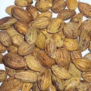 Whole Myrobalan aka Terminalia chebula