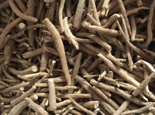 Dried Ashwagandha Root Sticks (Withania somnifera)