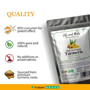 High Strength Turmeric Extract powder 95% curcuminoids