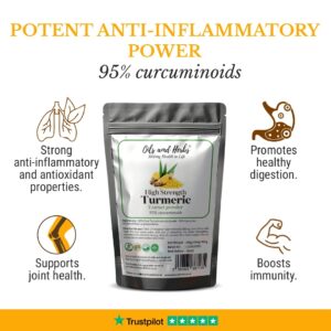 High Strength Turmeric Extract powder 95% curcuminoids